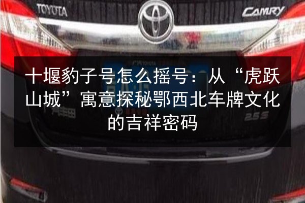 十堰豹子号怎么摇号:从“虎跃山城”寓意探秘鄂西北车牌文化的吉祥密码 第1张 十堰豹子号怎么摇号:从“虎跃山城”寓意探秘鄂西北车牌文化的吉祥密码 第1张