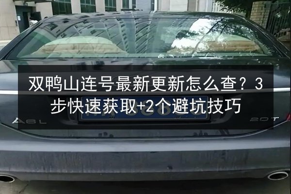 双鸭山连号最新更新怎么查?3步快速获取+2个避坑技巧 第2张 双鸭山连号最新更新怎么查?3步快速获取+2个避坑技巧 第2张