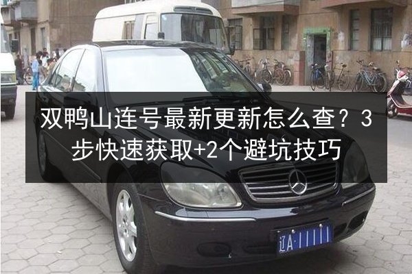 双鸭山连号最新更新怎么查?3步快速获取+2个避坑技巧 第3张 双鸭山连号最新更新怎么查?3步快速获取+2个避坑技巧 第3张