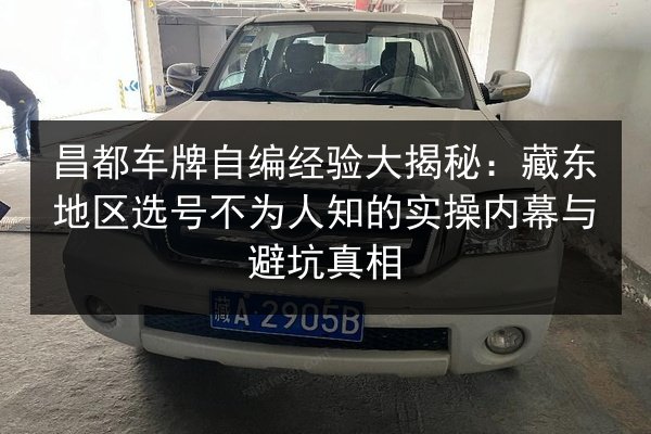 昌都车牌自编经验大揭秘：藏东地区选号不为人知的实操内幕与避坑真相