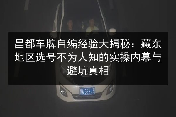 昌都车牌自编经验大揭秘：藏东地区选号不为人知的实操内幕与避坑真相 第3张