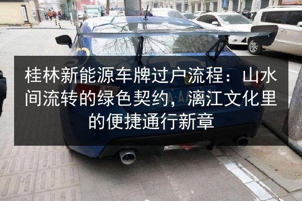 桂林新能源车牌过户流程：山水间流转的绿色契约，漓江文化里的便捷通行新章 第2张