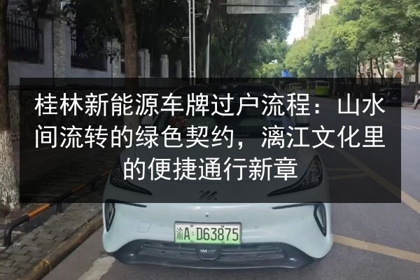 桂林新能源车牌过户流程：山水间流转的绿色契约，漓江文化里的便捷通行新章 第3张