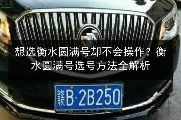 想选衡水圆满号却不会操作？衡水圆满号选号方法全解析