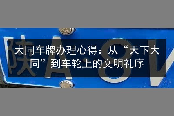 大同车牌办理心得：从“天下大同”到车轮上的文明礼序 第2张