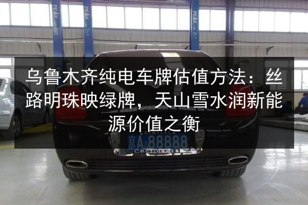乌鲁木齐纯电车牌估值方法:丝路明珠映绿牌,天山雪水润新能源价值之衡 第2张 乌鲁木齐纯电车牌估值方法:丝路明珠映绿牌,天山雪水润新能源价值之衡 第2张