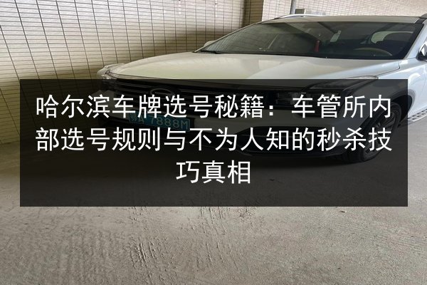 哈尔滨车牌选号秘籍：车管所内部选号规则与不为人知的秒杀技巧真相