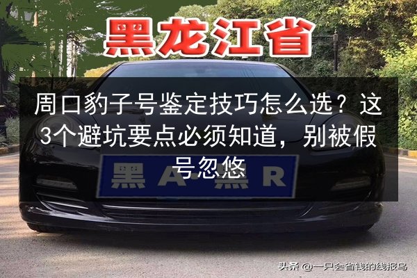 周口豹子号鉴定技巧怎么选?这3个避坑要点必须知道,别被假号忽悠 第3张 周口豹子号鉴定技巧怎么选?这3个避坑要点必须知道,别被假号忽悠 第3张