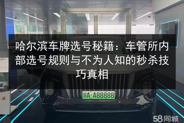 哈尔滨车牌选号秘籍:车管所内部选号规则与不为人知的秒杀技巧真相 第2张 哈尔滨车牌选号秘籍:车管所内部选号规则与不为人知的秒杀技巧真相 第2张