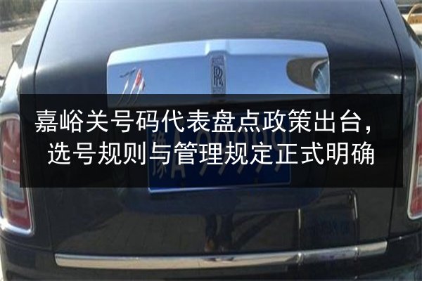 嘉峪关号码代表盘点政策出台，选号规则与管理规定正式明确 第2张