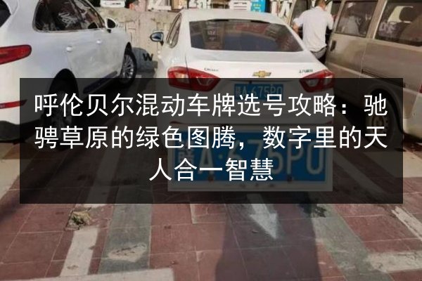 呼伦贝尔混动车牌选号攻略：驰骋草原的绿色图腾，数字里的天人合一智慧 第2张