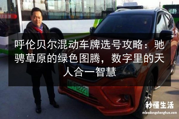 呼伦贝尔混动车牌选号攻略：驰骋草原的绿色图腾，数字里的天人合一智慧 第3张