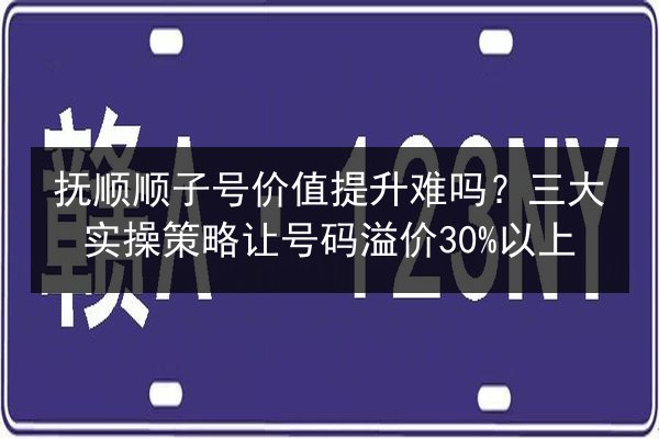 抚顺顺子号价值提升难吗?三大实操策略让号码溢价30%以上 第3张 抚顺顺子号价值提升难吗?三大实操策略让号码溢价30%以上 第3张