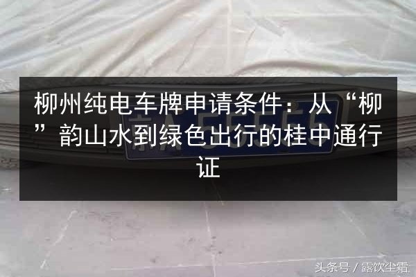 柳州纯电车牌申请条件:从“柳”韵山水到绿色出行的桂中通行证 第3张 柳州纯电车牌申请条件:从“柳”韵山水到绿色出行的桂中通行证 第3张