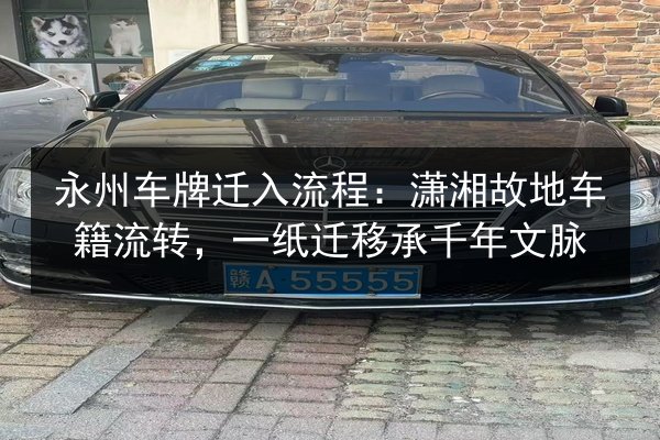 永州车牌迁入流程：潇湘故地车籍流转，一纸迁移承千年文脉