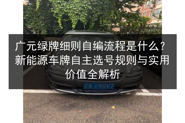 广元绿牌细则自编流程是什么？新能源车牌自主选号规则与实用价值全解析 第1张