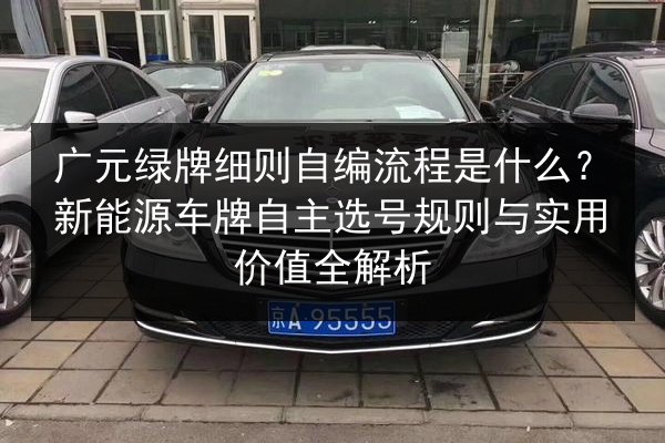 广元绿牌细则自编流程是什么？新能源车牌自主选号规则与实用价值全解析 第2张