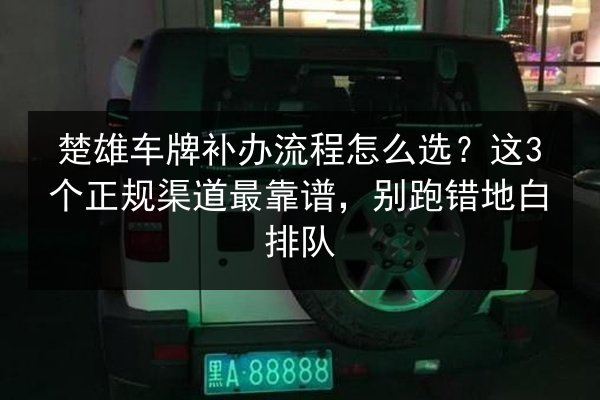 楚雄车牌补办流程怎么选?这3个正规渠道最靠谱,别跑错地白排队 第2张 楚雄车牌补办流程怎么选?这3个正规渠道最靠谱,别跑错地白排队 第2张