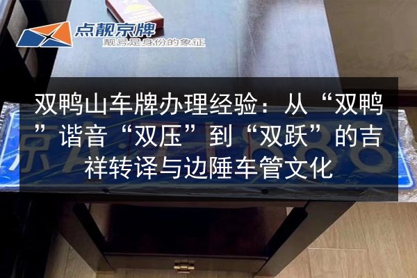 双鸭山车牌办理经验：从“双鸭”谐音“双压”到“双跃”的吉祥转译与边陲车管文化