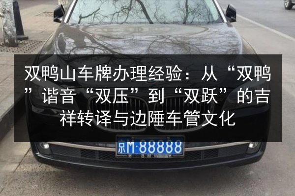 双鸭山车牌办理经验:从“双鸭”谐音“双压”到“双跃”的吉祥转译与边陲车管文化 第2张 双鸭山车牌办理经验:从“双鸭”谐音“双压”到“双跃”的吉祥转译与边陲车管文化 第2张