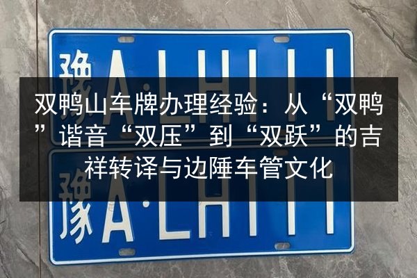 双鸭山车牌办理经验:从“双鸭”谐音“双压”到“双跃”的吉祥转译与边陲车管文化 第3张 双鸭山车牌办理经验:从“双鸭”谐音“双压”到“双跃”的吉祥转译与边陲车管文化 第3张
