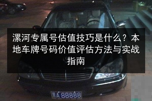 漯河专属号估值技巧是什么？本地车牌号码价值评估方法与实战指南