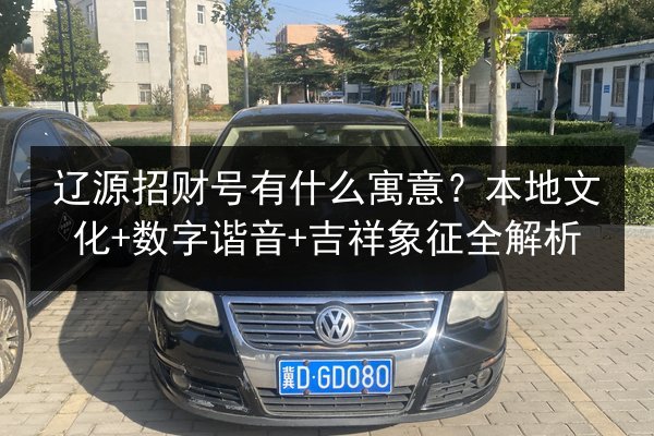 辽源招财号有什么寓意?本地文化+数字谐音+吉祥象征全解析 第2张 辽源招财号有什么寓意?本地文化+数字谐音+吉祥象征全解析 第2张