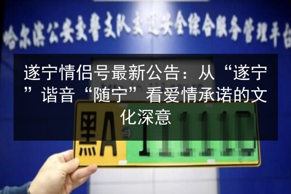 遂宁情侣号最新公告：从“遂宁”谐音“随宁”看爱情承诺的文化深意