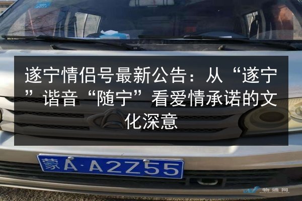 遂宁情侣号最新公告:从“遂宁”谐音“随宁”看爱情承诺的文化深意 第2张 遂宁情侣号最新公告:从“遂宁”谐音“随宁”看爱情承诺的文化深意 第2张