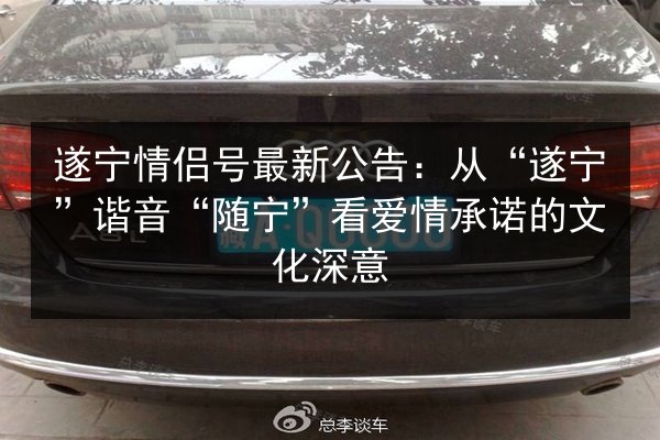 遂宁情侣号最新公告:从“遂宁”谐音“随宁”看爱情承诺的文化深意 第3张 遂宁情侣号最新公告:从“遂宁”谐音“随宁”看爱情承诺的文化深意 第3张