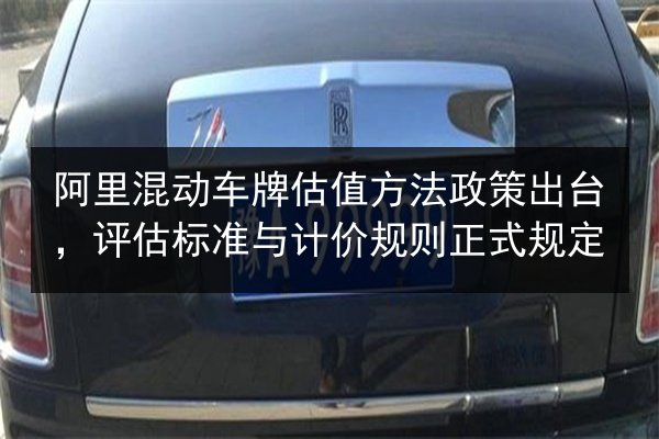 阿里混动车牌估值方法政策出台，评估标准与计价规则正式规定