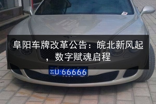 阜阳车牌改革公告：皖北新风起，数字赋魂启程