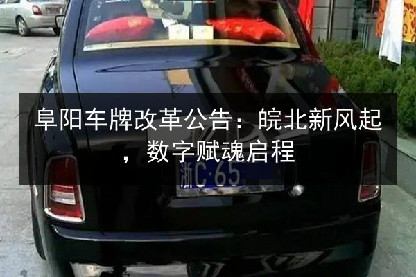 阜阳车牌改革公告:皖北新风起,数字赋魂启程 第3张 阜阳车牌改革公告:皖北新风起,数字赋魂启程 第3张