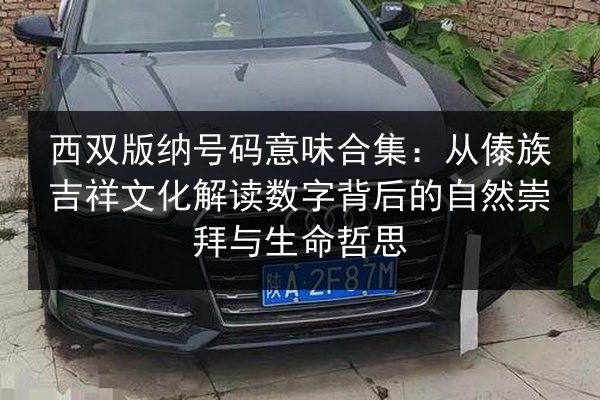 西双版纳号码意味合集：从傣族吉祥文化解读数字背后的自然崇拜与生命哲思
