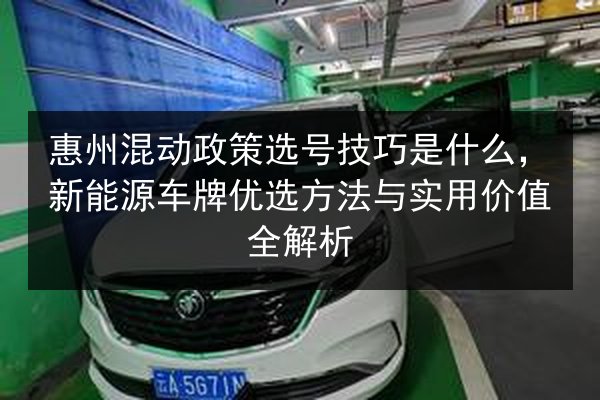 惠州混动政策选号技巧是什么，新能源车牌优选方法与实用价值全解析 第2张