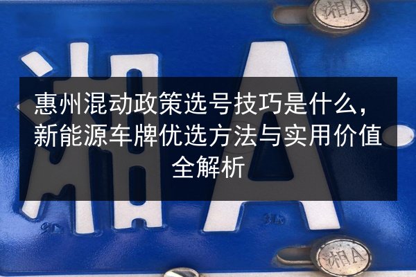 惠州混动政策选号技巧是什么，新能源车牌优选方法与实用价值全解析 第3张