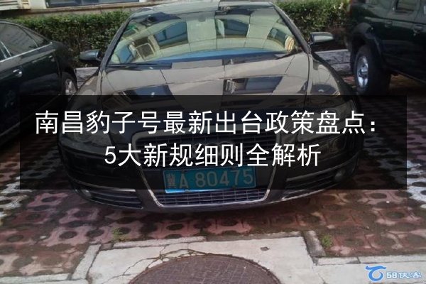 南昌豹子号最新出台政策盘点：5大新规细则全解析