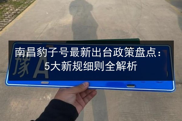 南昌豹子号最新出台政策盘点:5大新规细则全解析 第3张 南昌豹子号最新出台政策盘点:5大新规细则全解析 第3张