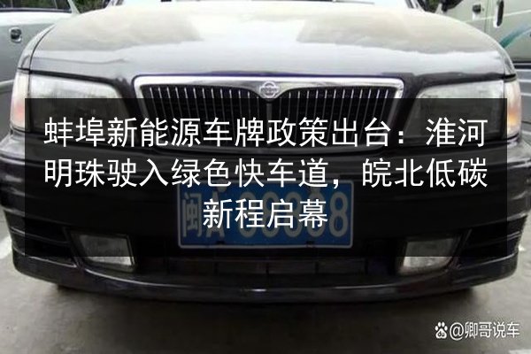 蚌埠新能源车牌政策出台：淮河明珠驶入绿色快车道，皖北低碳新程启幕 第2张