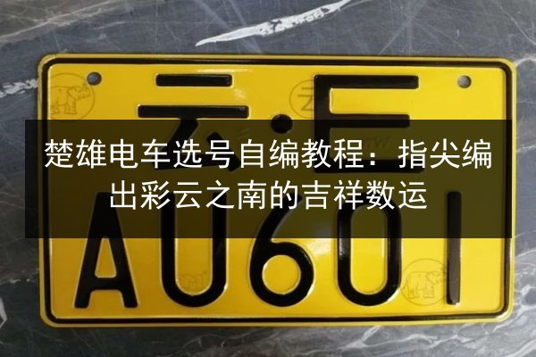 楚雄电车选号自编教程：指尖编出彩云之南的吉祥数运 第2张