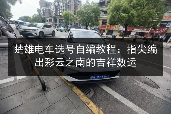 楚雄电车选号自编教程：指尖编出彩云之南的吉祥数运 第3张