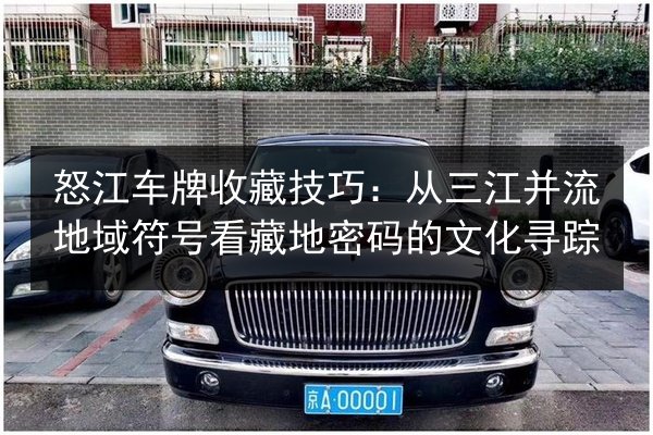 怒江车牌收藏技巧：从三江并流地域符号看藏地密码的文化寻踪 第1张