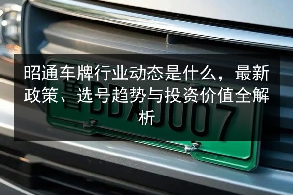 昭通车牌行业动态是什么，最新政策、选号趋势与投资价值全解析