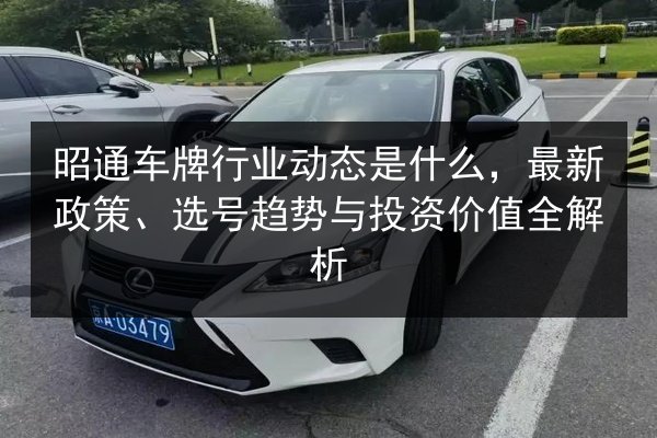 昭通车牌行业动态是什么，最新政策、选号趋势与投资价值全解析 第2张