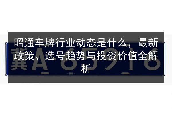 昭通车牌行业动态是什么，最新政策、选号趋势与投资价值全解析 第3张