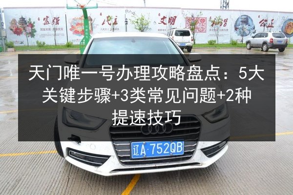 天门唯一号办理攻略盘点：5大关键步骤+3类常见问题+2种提速技巧