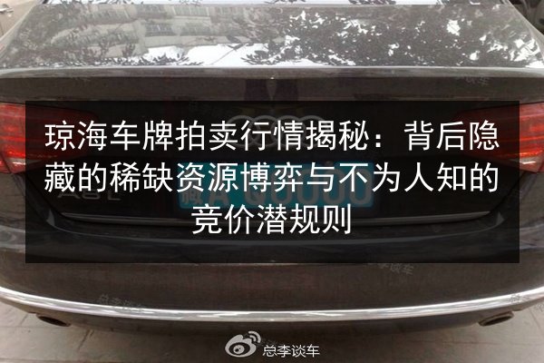 琼海车牌拍卖行情揭秘：背后隐藏的稀缺资源博弈与不为人知的竞价潜规则