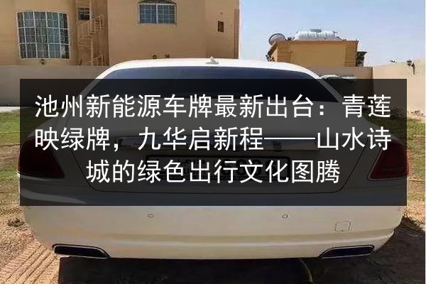 池州新能源车牌最新出台：青莲映绿牌，九华启新程——山水诗城的绿色出行文化图腾 第2张