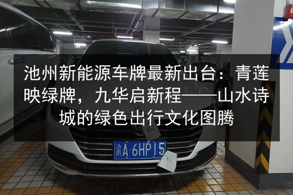 池州新能源车牌最新出台：青莲映绿牌，九华启新程——山水诗城的绿色出行文化图腾 第3张
