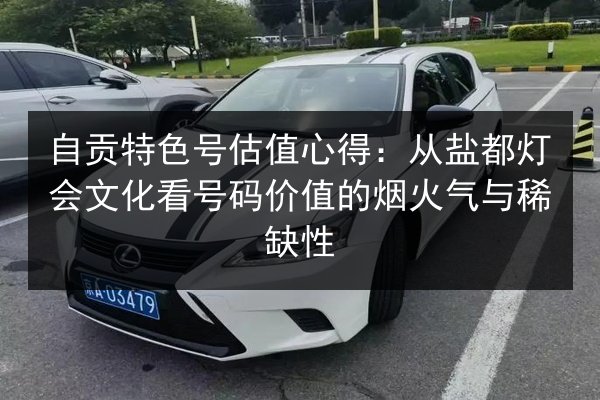 自贡特色号估值心得:从盐都灯会文化看号码价值的烟火气与稀缺性 第3张 自贡特色号估值心得:从盐都灯会文化看号码价值的烟火气与稀缺性 第3张